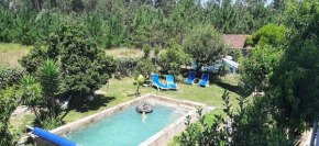 Yuccasa - Small Glamping Camping & Studio's